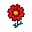 Pflanzenwelt